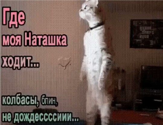 e9d7f42c515bc105c7d2daae90c14