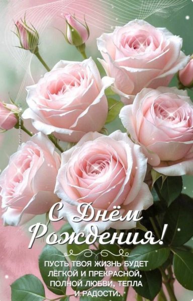 -5388830926273903510 121