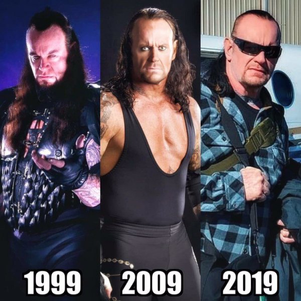 Wwe (497)
