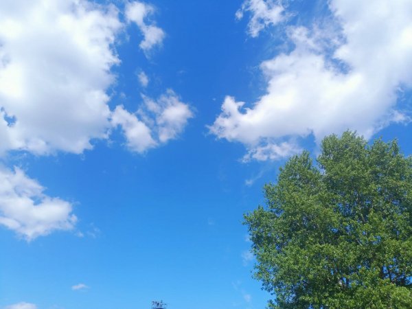 -5384522043283850954 121