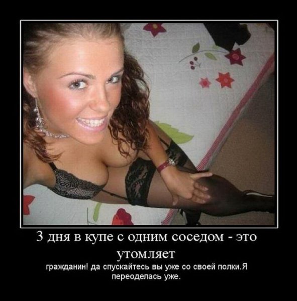 19(1)