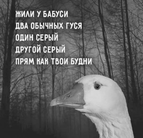 6ee8750f27 19984787
