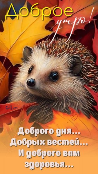 E5be84691f8439d03dc0eef2ec3a7dbe