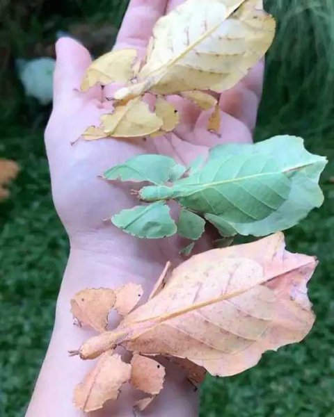 picture_295012528