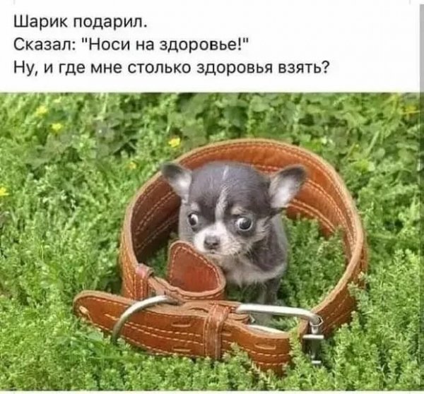 А???