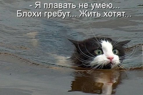 getImage