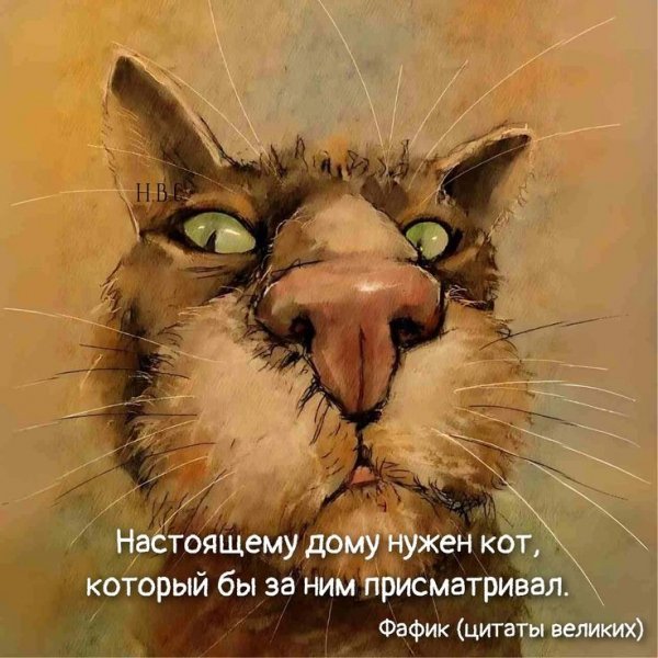 2bf84b31026ccc8bed26cbecdd32c48a