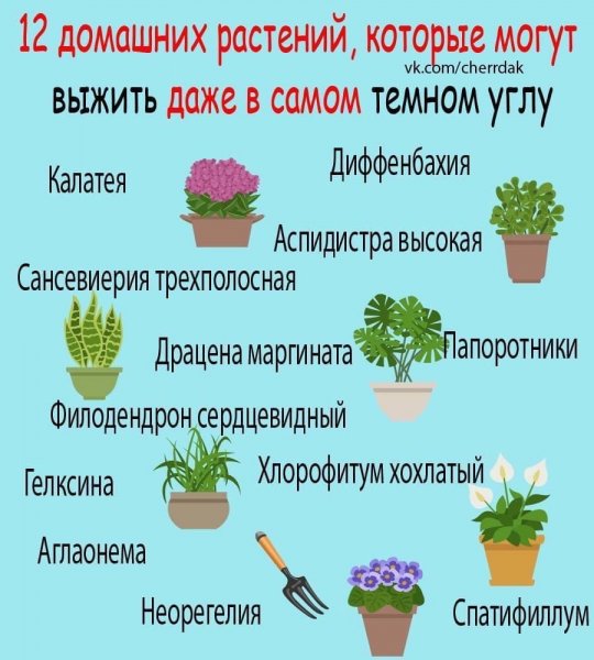 На заметку
