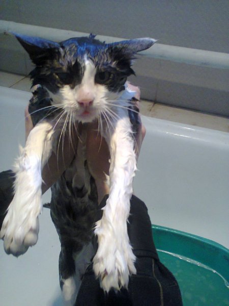 Мокрая киска моей подруги