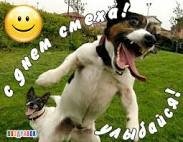 images-245