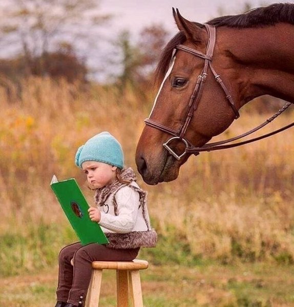 IMG 20200901 205906 073