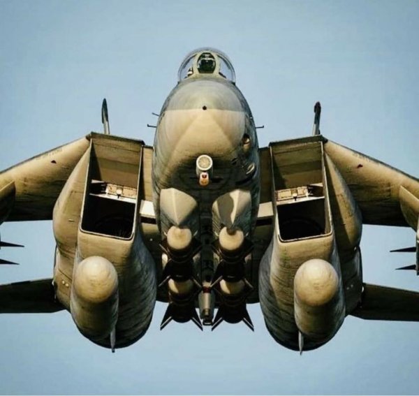 F-14 Tomcat