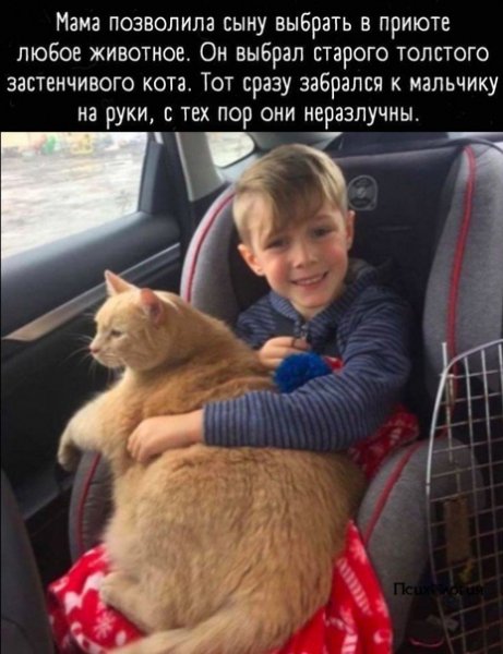 MrunFJnYIpM