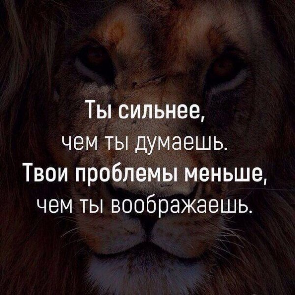 1e144c1561775ca1263515b556cfe6e1