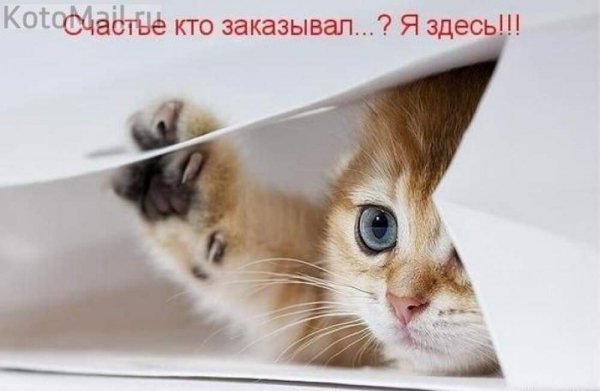 Я здесь!!!