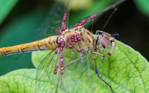 ff647d635c IMG 8123 edited