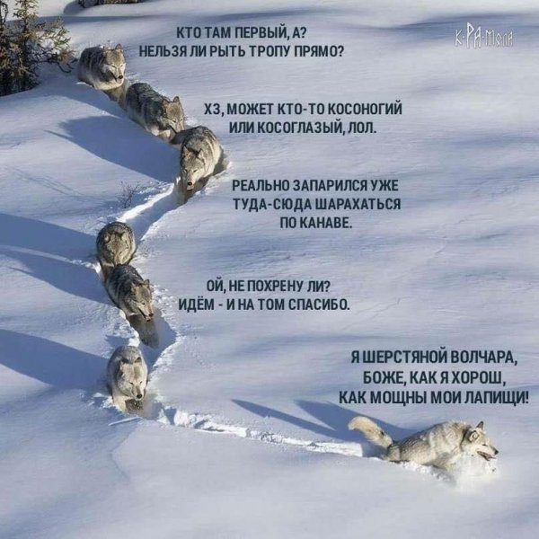 первый фанатик,второй лидер, третий нытик, четвёртый критик,п