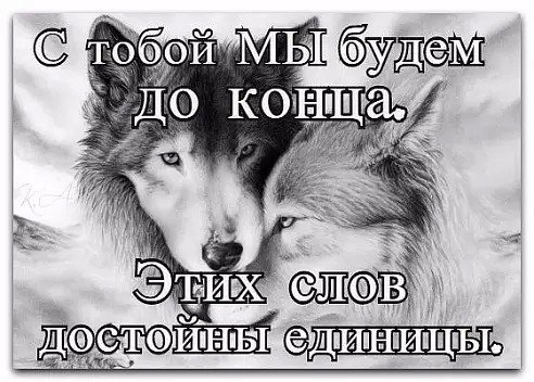 Волк