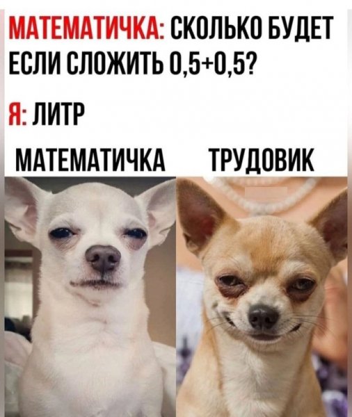 pressa tv memes-13