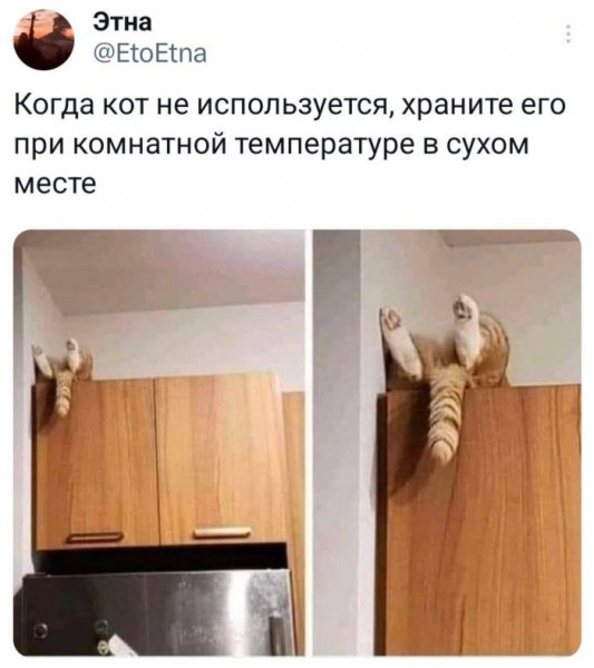 -porcii-otlichnogo-nastroenija-prjamo-s-utra-0