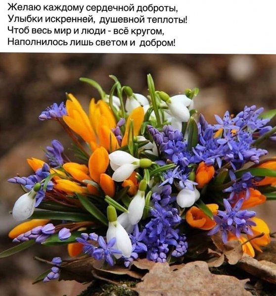 7cd5b0ac93d8538eabc71c11854e9902