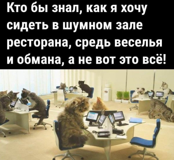 Pozitivom-luchshie-memy-i-kommentarii-iz-seti-uzhe-zdes-0