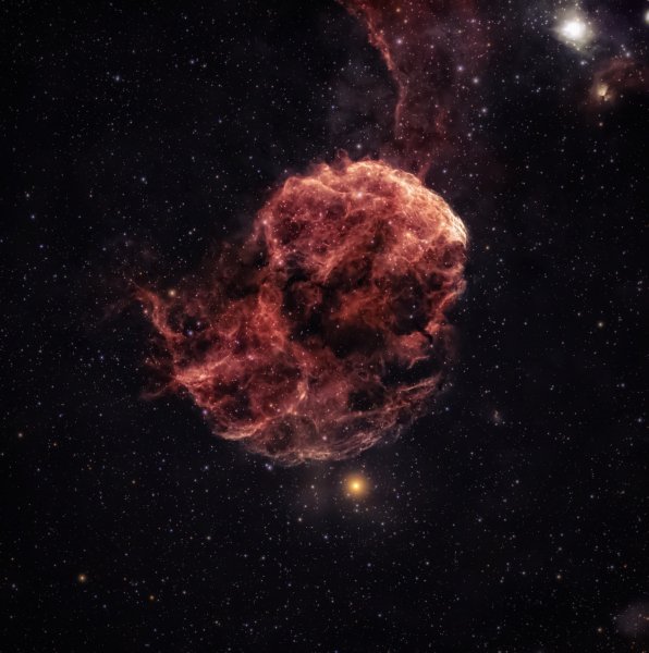 K684020505