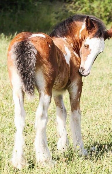 21-01-13-241807215 10224013235272957 2121760185784226469 n