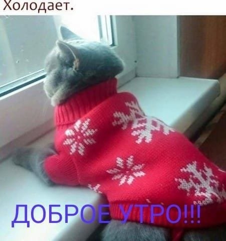 IMG-798f3b8a77d3d56f9d75f8f20f2ad759-V