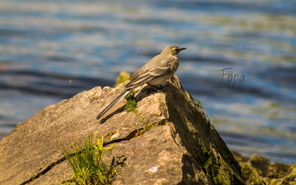 66a3d1e91601e IMG 8158 edited