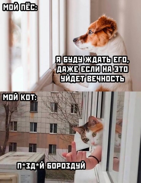 Без комментариев