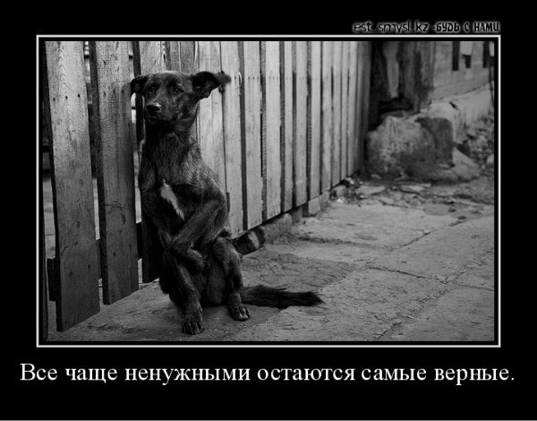 Так и есть!