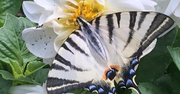 82 news big-v1619061193