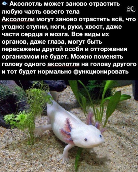 picture_299324941
