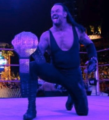 undertaker 17703 display image