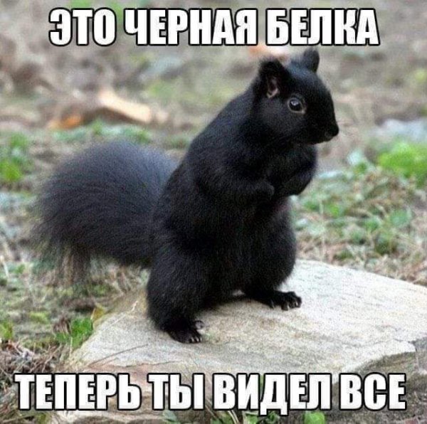 FB IMG 1607817480589