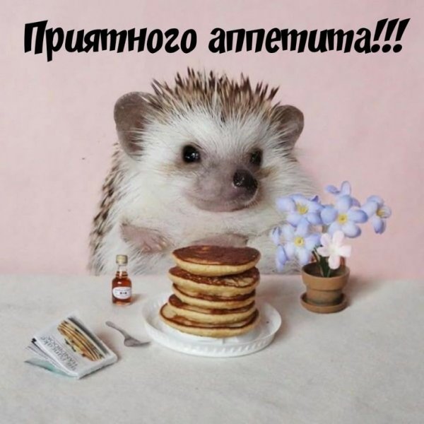 c61c36d1738b401d126255ace56e