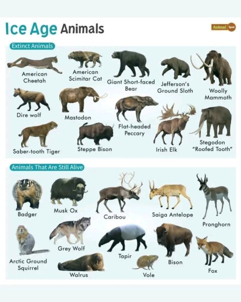 Ледниковые животные