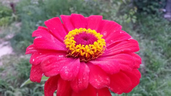 picture_99582024