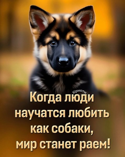 Так и есть!