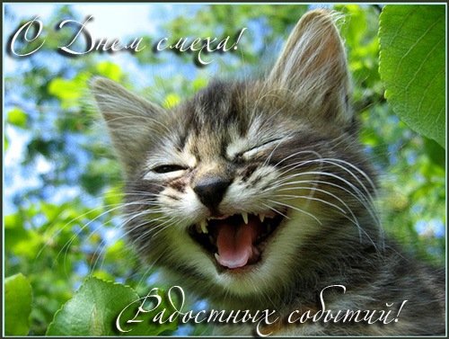 С днем смеха