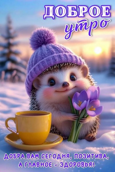 IMG 20260226 132335 129