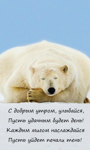 С добрым утром...