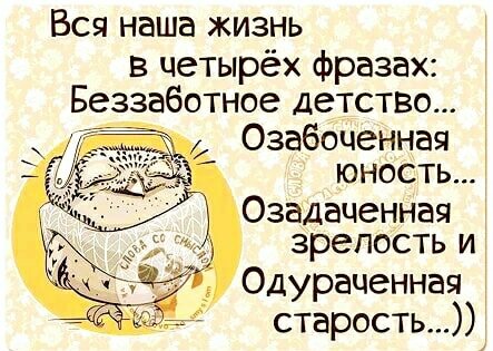 Жизнь )