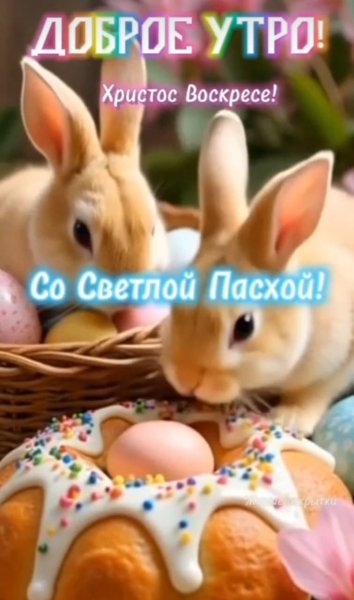 B02a86c917bb4477b4496d39be53368f