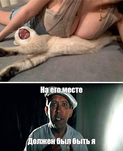 FB IMG 1616226510576