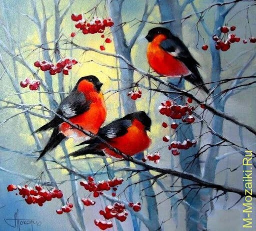 image (3) - 2020-07-15T021235.302