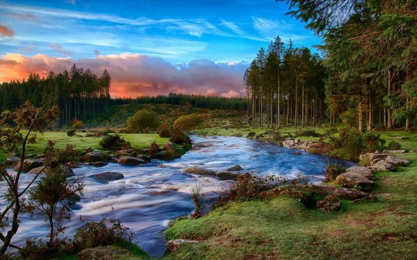 16 4524 oboi jugo - zapadnaja anglija 1680x1050