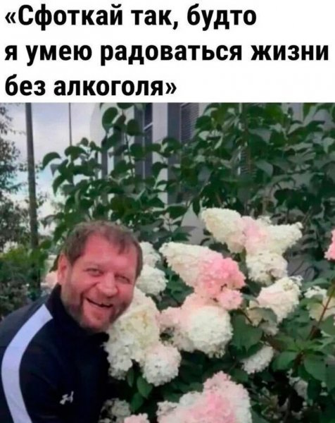 Kelinvibes d834bb86b5c6414da3fadb2441b9cc22