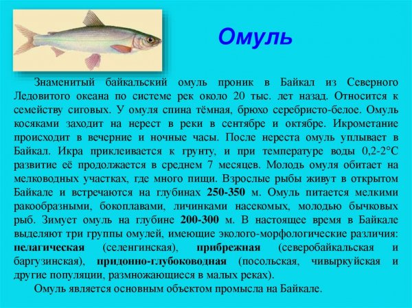 Slide-22